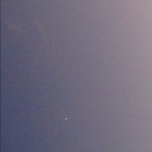 Meet your Posher, Priscilla